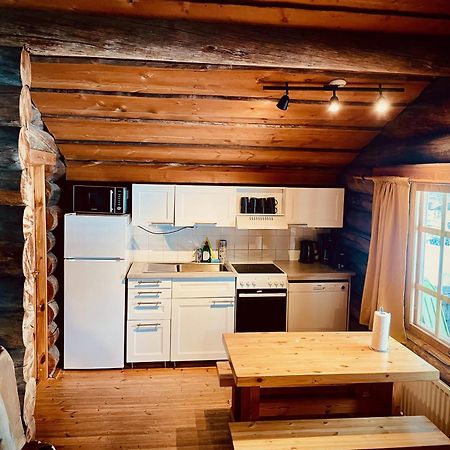 Arctic Log Cabins 사리셀카 외부 사진